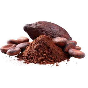 CACAO HARINA DE CACAO