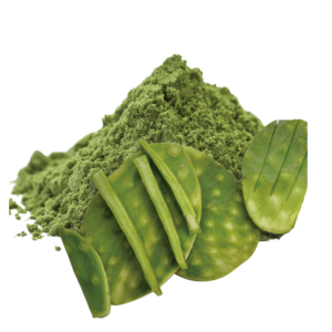 NOPAL HARINA DE NOPAL